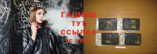 индика Ельня
