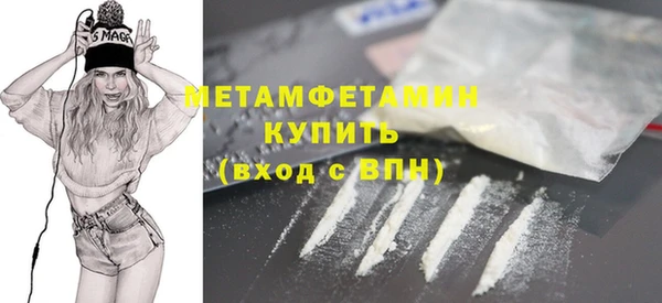 индика Ельня