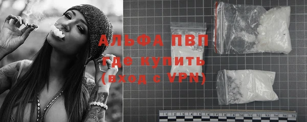 индика Ельня