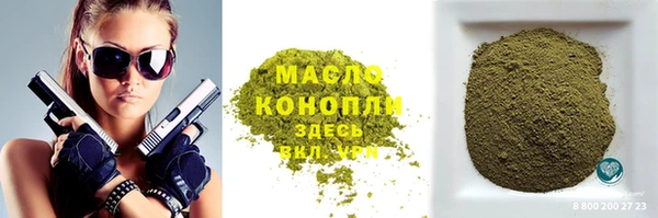 индика Ельня