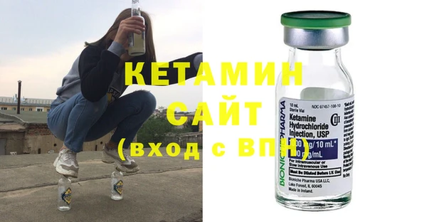 индика Ельня