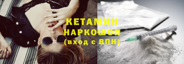 индика Ельня