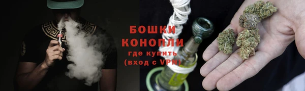 индика Ельня