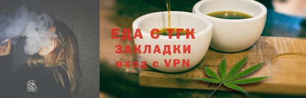 индика Ельня