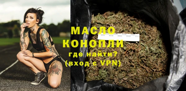 индика Ельня