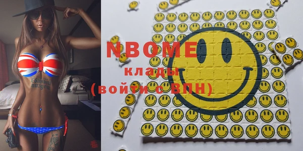 индика Ельня