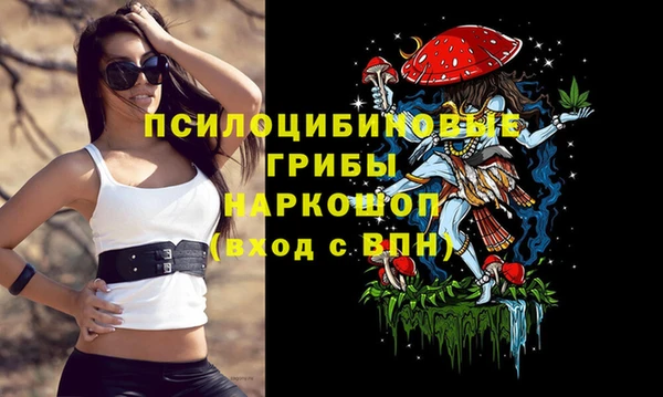 хмурый Елабуга