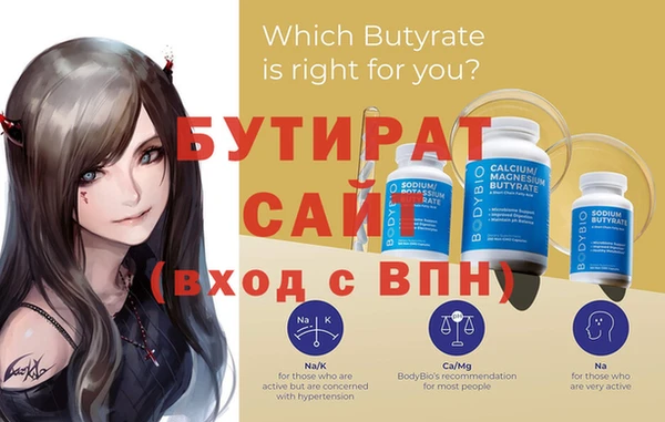 индика Ельня