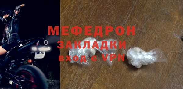 индика Ельня