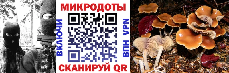 Купить где  Починок  Псилоцибиновые грибы GOLDEN TEACHER 
